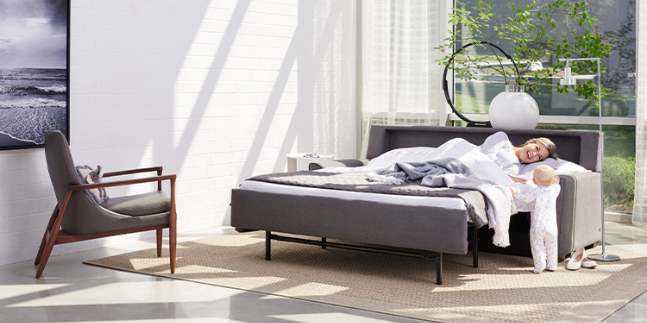shop sleeper sofas